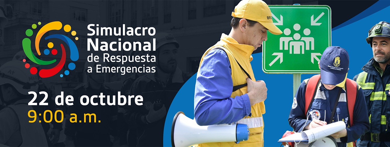 Simulacro IIP 2025 00