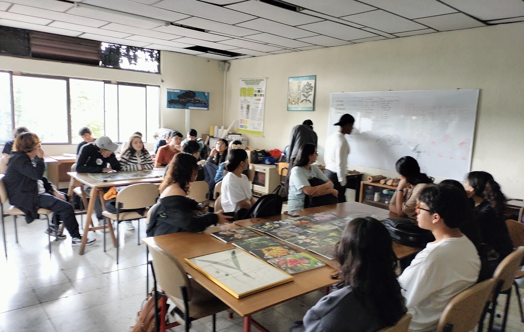 Aulas Vivas IP 2025