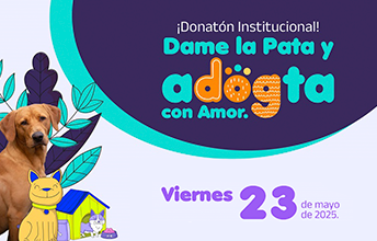 UNIMAYOR lidera campaña social para perritos rescatados de la calle.