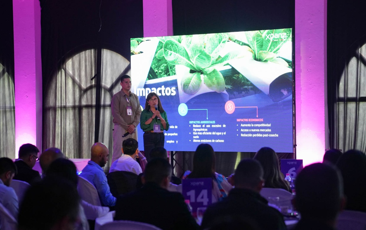 Resultados Proyecto Fusioni3 Cauca 01