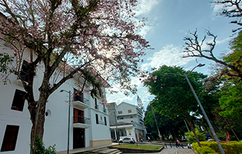 Aportes para la Planeación de Actividades UNIMAYOR 2026.